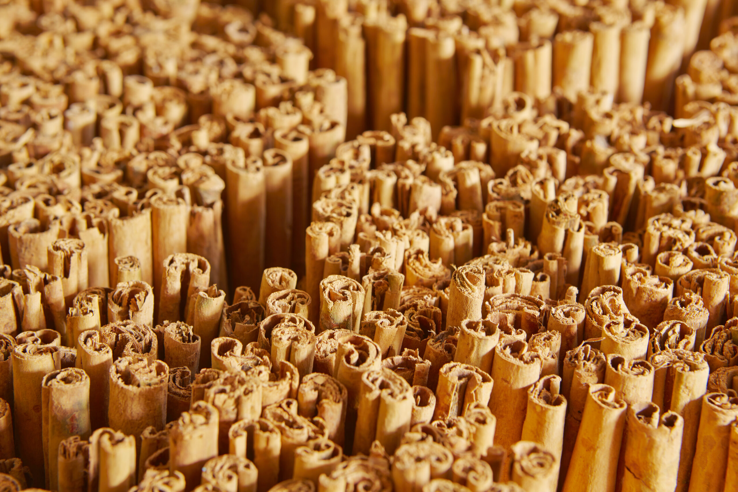 Packaging & Quality Control