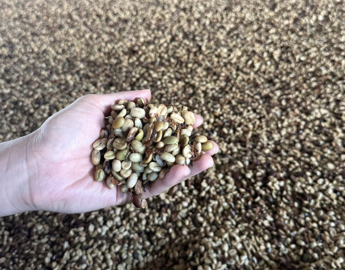 Post-Harvest