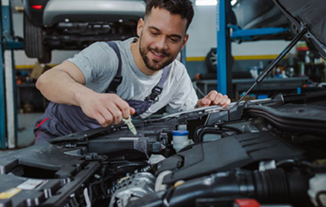 Automotive & Transport