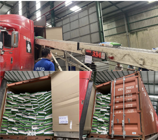 Load & Seal Container