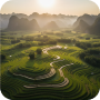 Entered Regenerative Agriculture